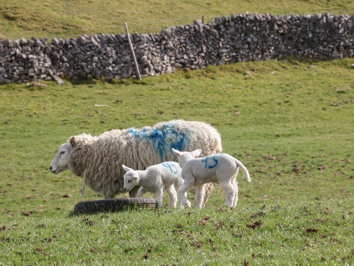 Shepherds Retreat Ashbourne  Luaran gambar